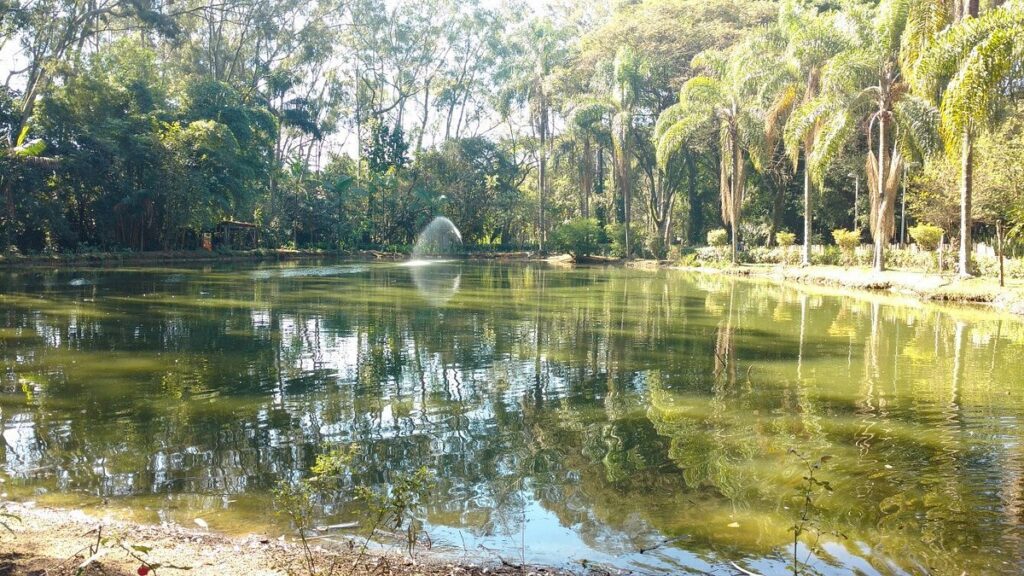 parque do piqueri tatuape